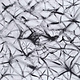 Experimental Gabi Losoncy - Security Besides Love (VG++/NM)
