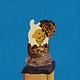 Rock/Pop Corridor - Junior