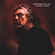Rock/Pop Robert Plant - Carry Fire (NM/VG++)