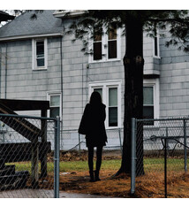 Rock/Pop The Tallest Man On Earth - Dark Bird Is Home (NM/VG+, wavy sleeve)