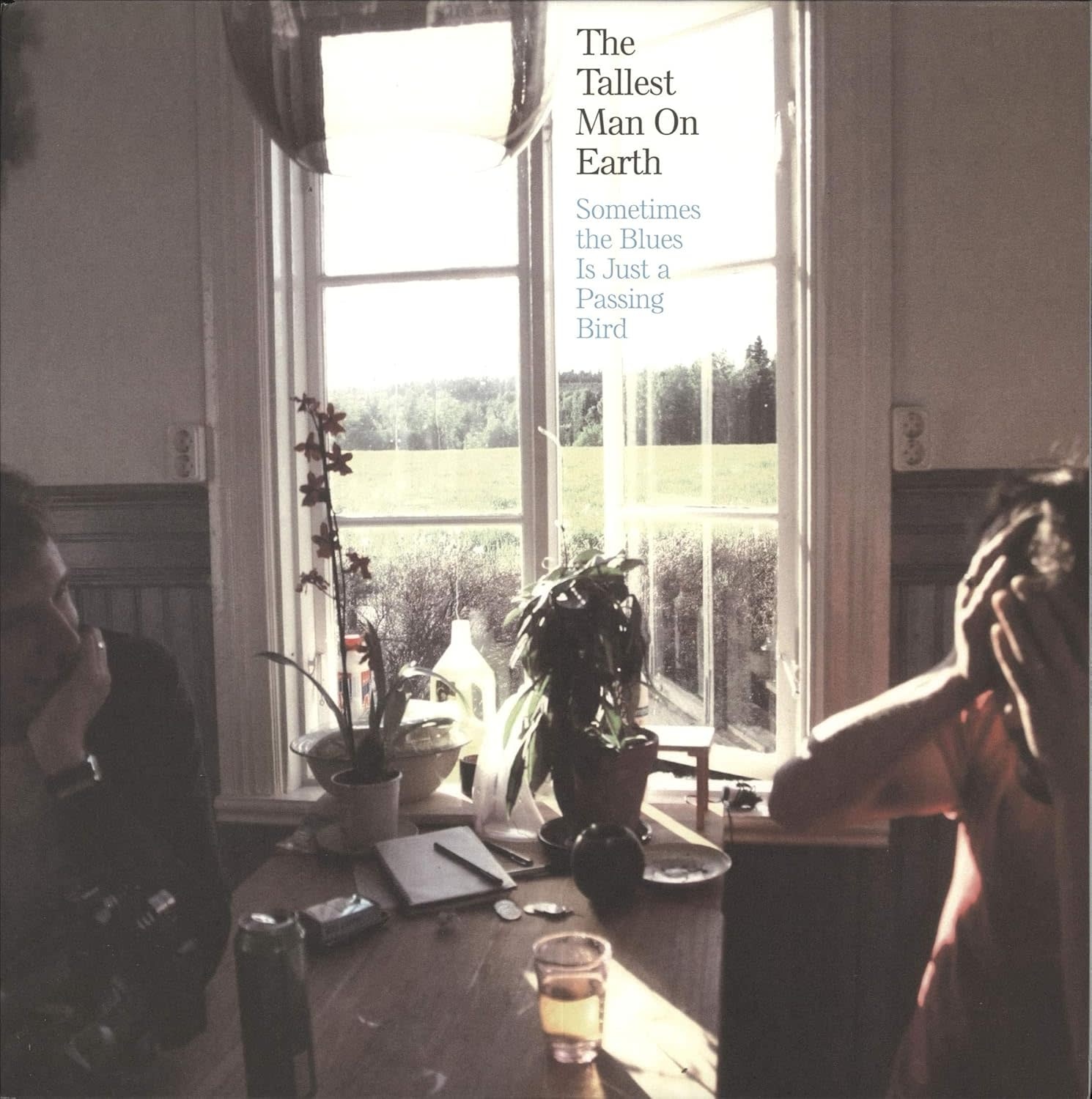 Rock/Pop The Tallest Man On Earth - Sometimes The Blues Is Just A Passing Bird (NM/NM)