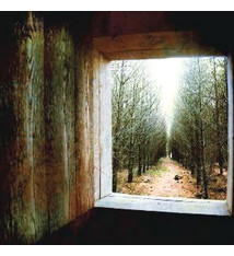 Rock/Pop Bon Iver - For Emma b/w Wisconsin ('08 UK 7") (VG, both sides have surface noise/1.5 in. top seam wearm)