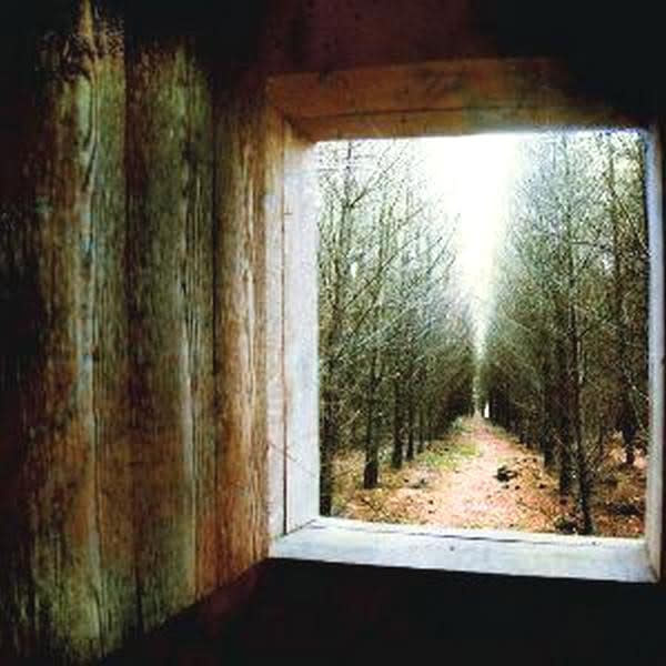 Rock/Pop Bon Iver - For Emma b/w Wisconsin ('08 UK 7") (VG, both sides have surface noise/1.5 in. top seam wearm)