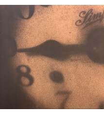 Rock/Pop Mark Kozelek - Rock 'N' Roll Singer (VG+/VG+)