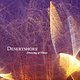 Rock/Pop Desertshore - Drawing Of Threes (Orange Vinyl) (NM/NM)