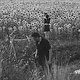 Rock/Pop Jesu / Sun Kil Moon - S/T (Silver w/Black Splatter) (VG++/VG+)