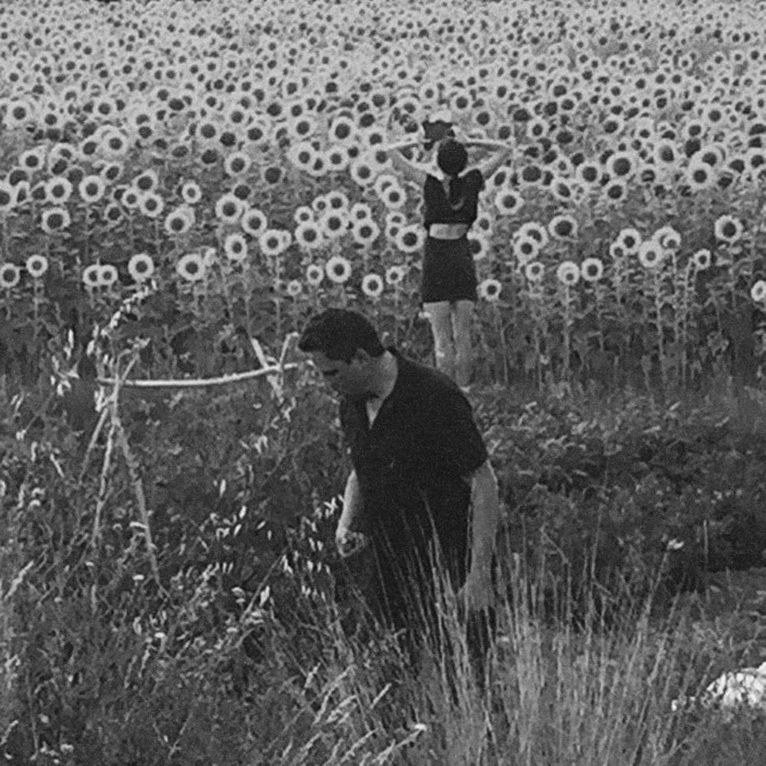 Rock/Pop Jesu / Sun Kil Moon - S/T (Silver w/Black Splatter) (VG++/VG+)