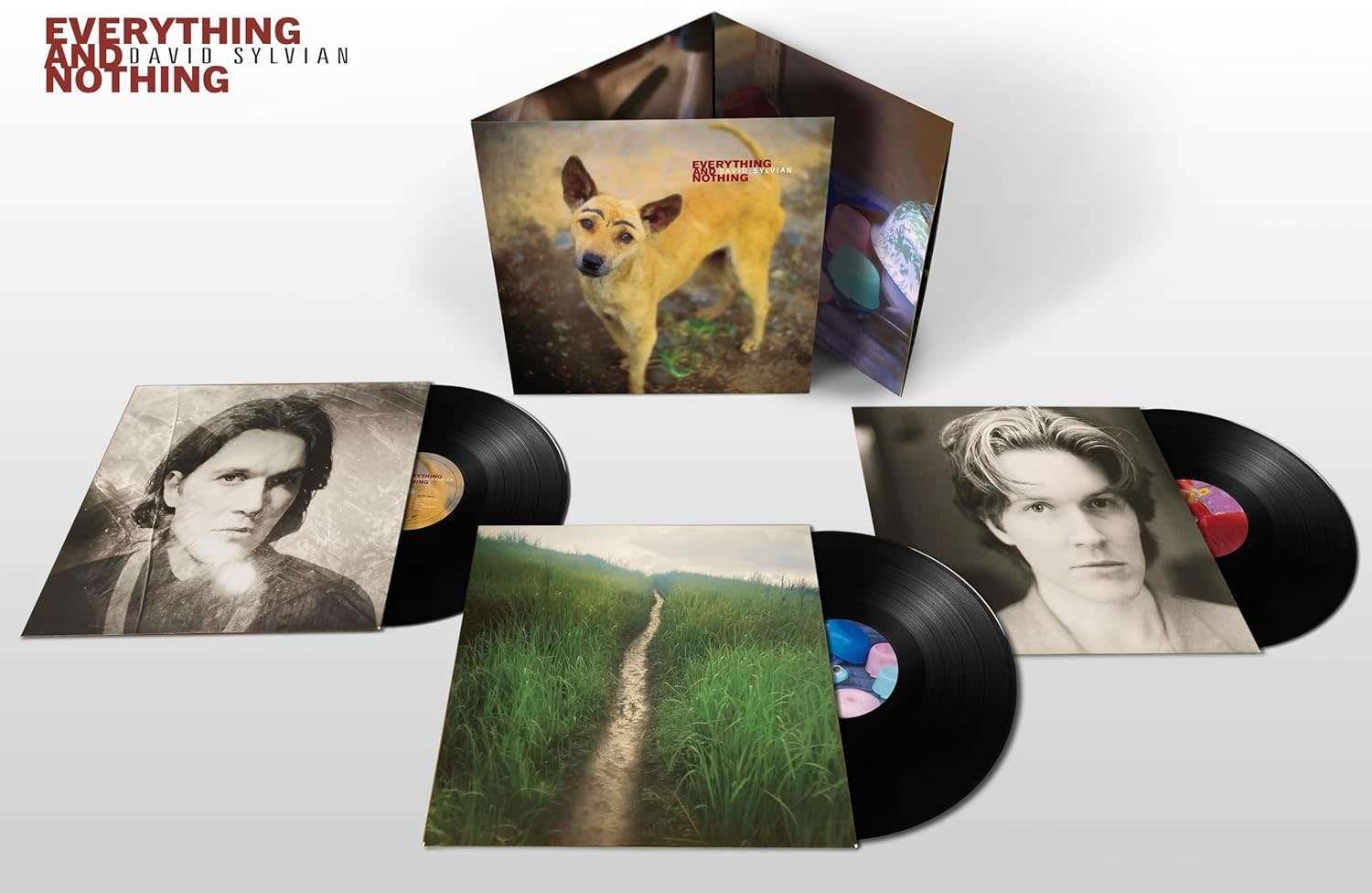 Rock/Pop David Sylvian - Everything and Nothing