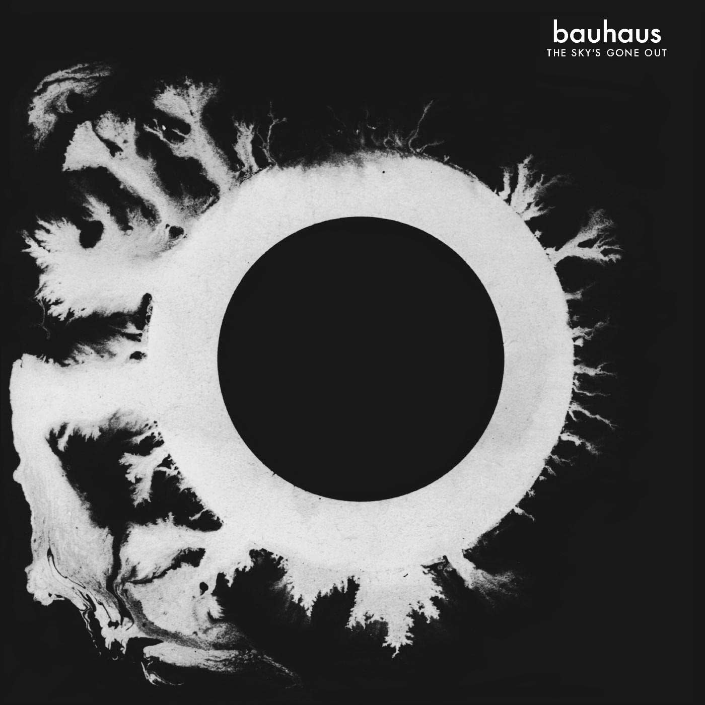 Rock/Pop Bauhaus - The Sky's Gone Out
