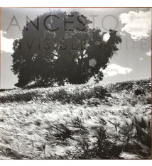 Rock/Pop Ancestors - Invisible White (White Vinyl) (NM/VG+)