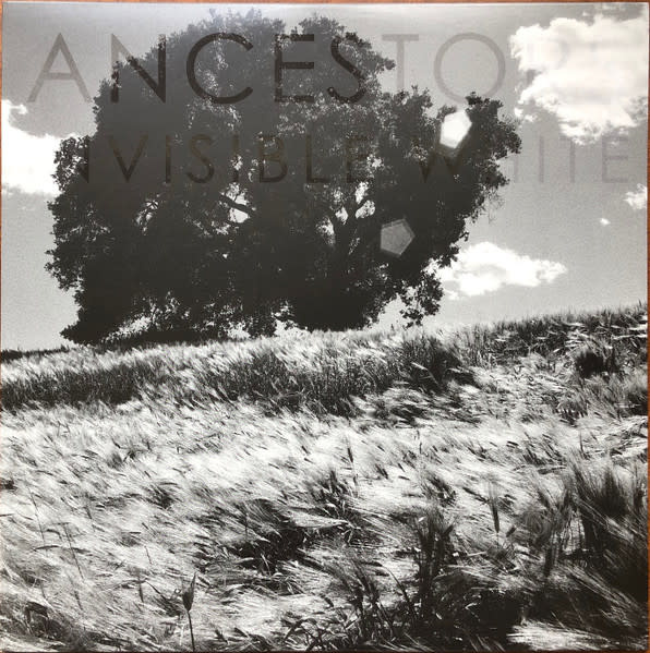 Rock/Pop Ancestors - Invisible White (White Vinyl) (NM/VG+)