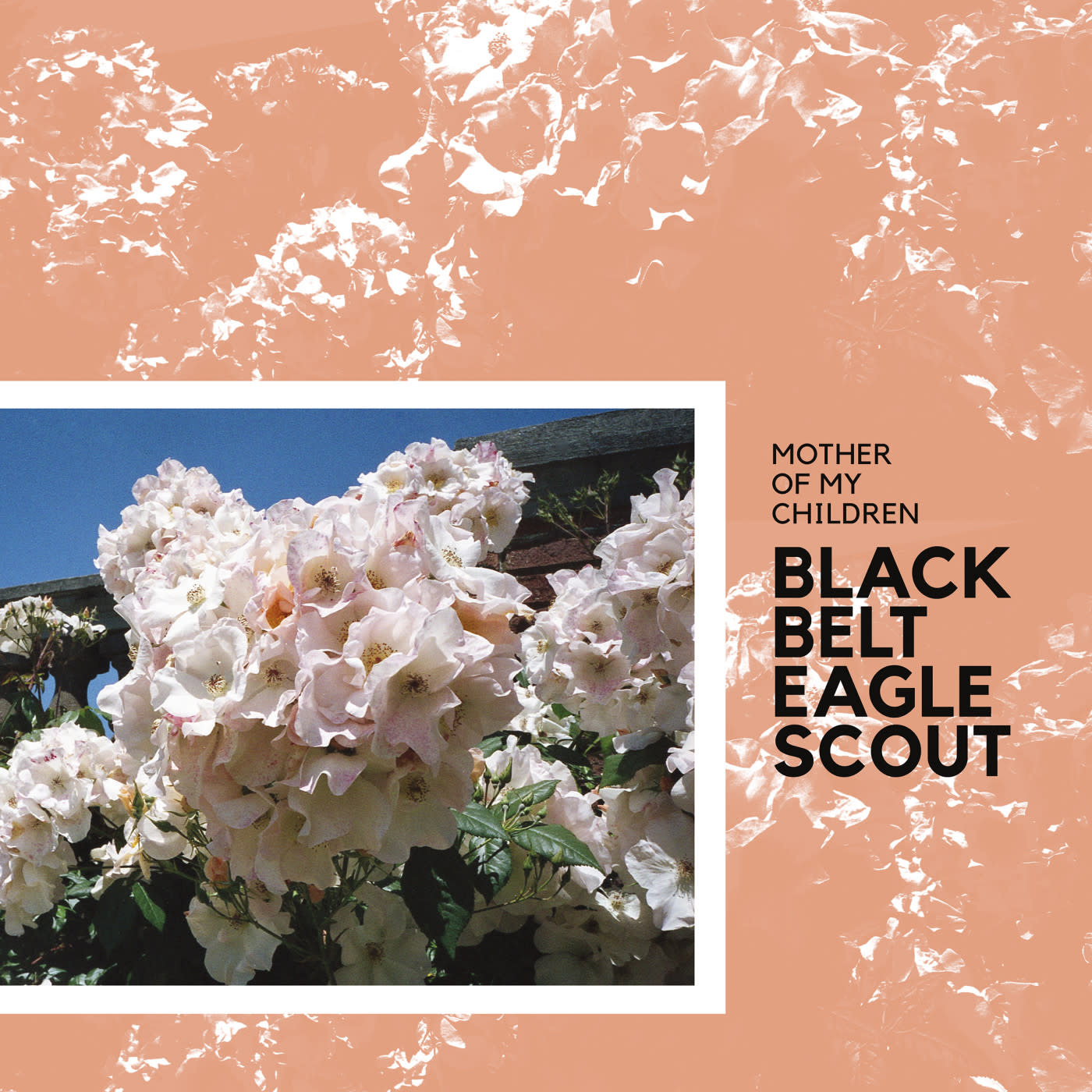 Rock/Pop Black Belt Eagle Scout - Mother Of My Children (Grapefruit Splatter Vinyl)