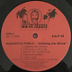 Reggae/Dub Augustus Pablo - Dubbing In A Africa (VG+/VG+)
