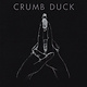 Rock/Pop Nurse With Wound • Stereolab - Crumb Duck (USED CD)
