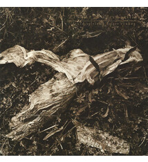 Experimental David Sylvian + Holger Czukay - Plight & Premonition ('88 CA) (VG, conservative grade: quiet music light crackle/VG+, shelf-wear)