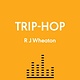 33 1/3 Series 33 1/3 Genre Series - Trip-Hop - R.J. Wheaton