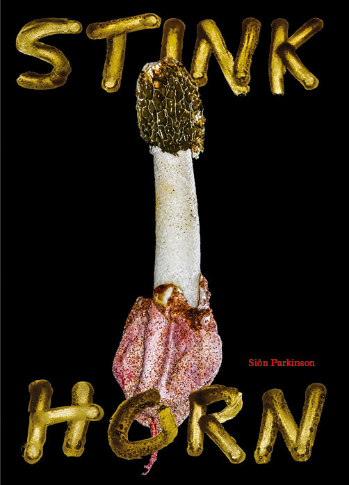Stinkhorn - Siôn Parkinson