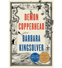 Demon Copperhead: A Novel - Barbara Kingsolver