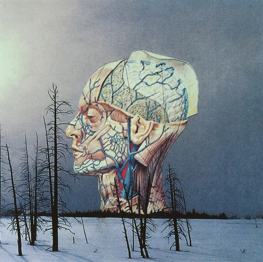 Rock/Pop Low - Songs For A Dead Pilot