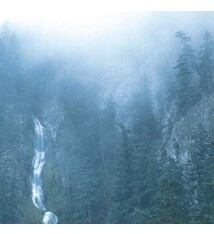 Metal Wolves In The Throne Room - Diadem Of 12 Stars