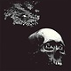 Rock/Pop Osees - A Foul Form