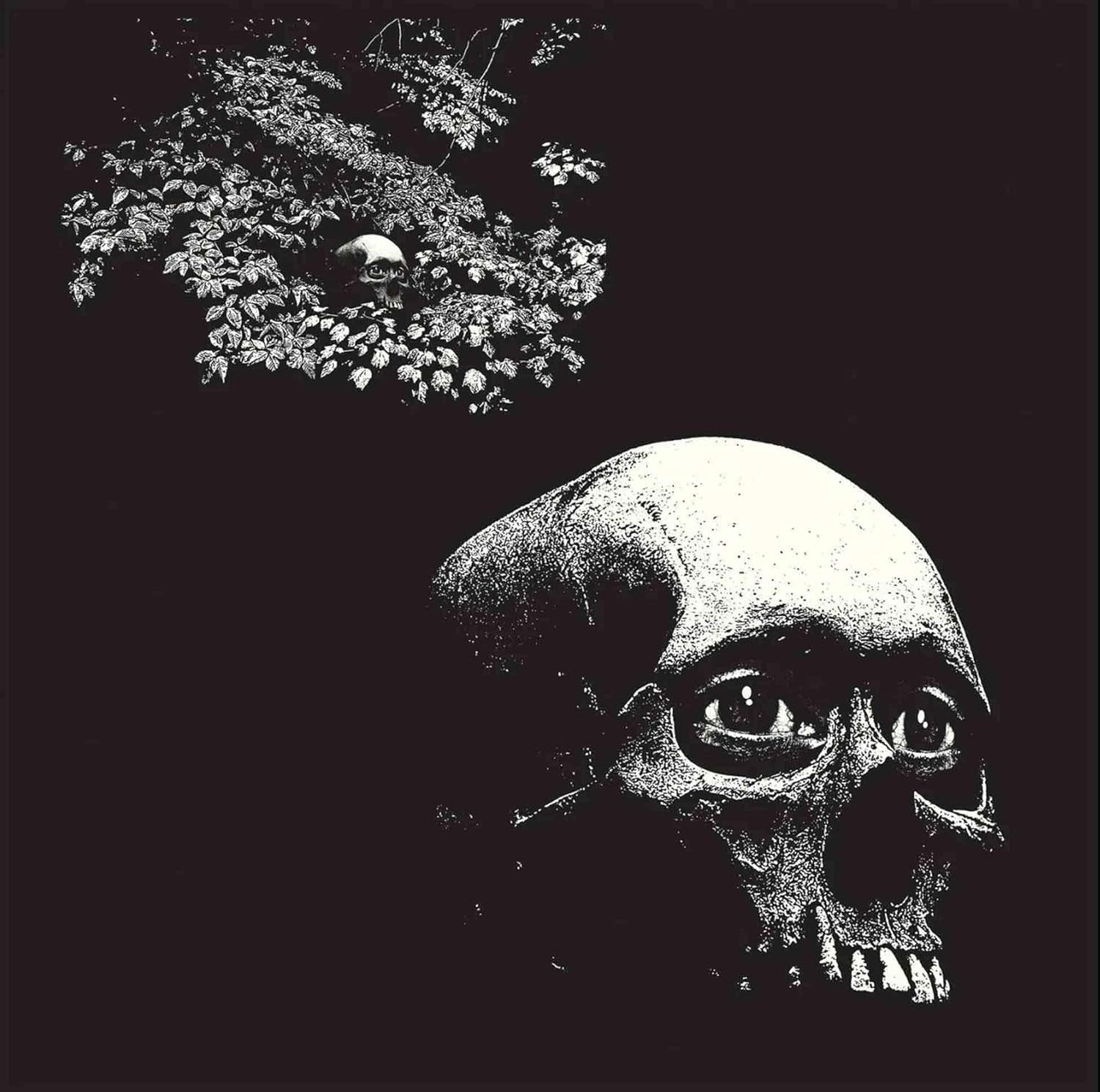 Rock/Pop Osees - A Foul Form