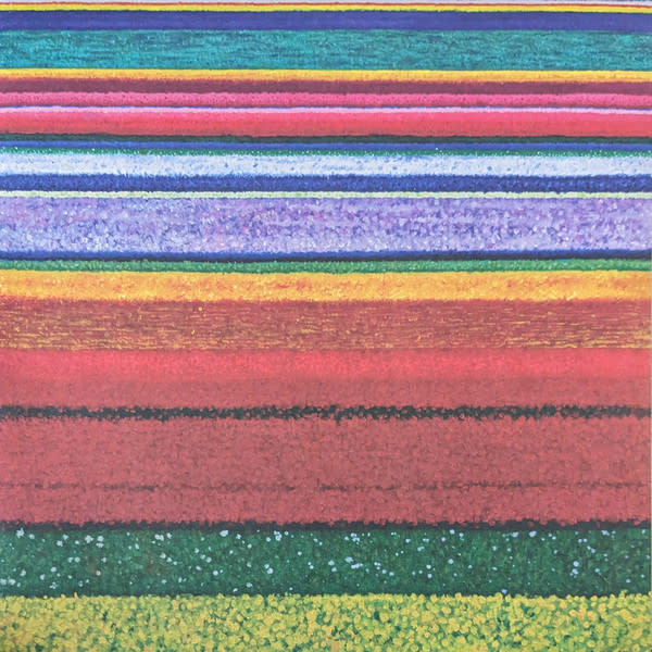 Rock/Pop City And Colour - Little Hell (2011 Press) (VG, tick through first part of B1/NM) (Reduced price: $49.99 -> $34.99)