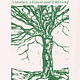 Biographies & Memoirs The Snag: A Mother, A Forest, and Wild Grief - Tessa McWatt