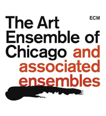 Jazz The Art Ensemble Of Chicago - The Art Ensemble Of Chicago And Associated Ensembles (21 CD Numbered Box Set) (USED CD BOX SET)