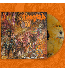 Metal Tomb Mold - Manor Of Infinte Forms (B9 Koi Pond Marble Vinyl)