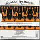 Rock/Pop Guided By Voices - Surgical Focus ('99 US 7") (NM/VG+)