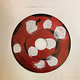 Rock/Pop Yo La Tengo - We Have Amnesia Sometimes (NM/VG++)