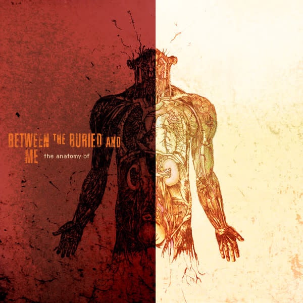 Punk/Hardcore Between The Buried And Me - The Anatomy Of (2013 Orange Transparent Vinyl) (NM/VG+, crease)