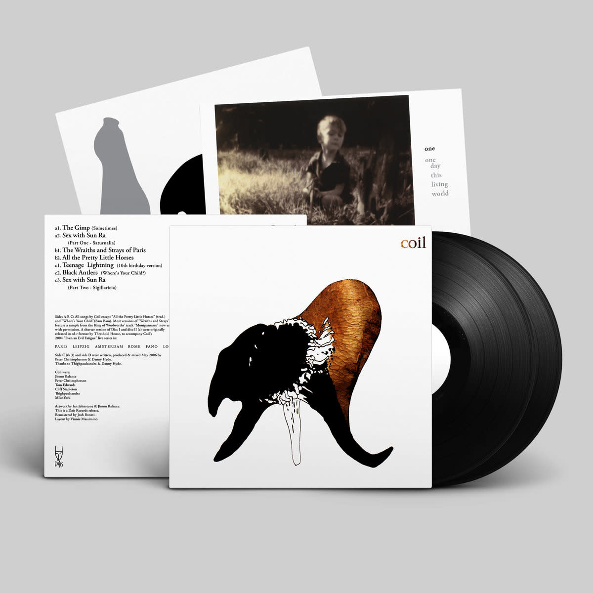 Industrial Coil - Black Antlers