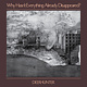Rock/Pop Deerhunter - Why Hasn't Everything Already Disappeared (Grey Vinyl) (NM/VG+)