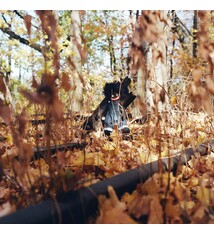 Hip Hop/Rap Billy Woods - GOLLIWOG