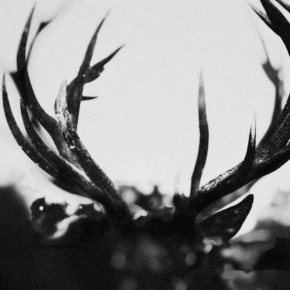 Metal Ihsahn - S/T (NEW CD)