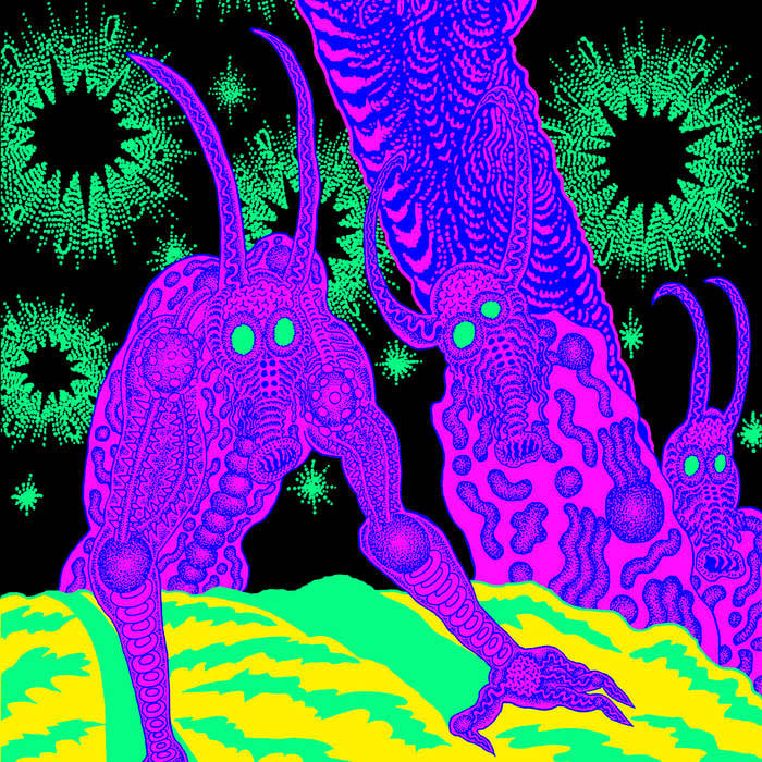 Rock/Pop Osees - Abomination Revealed At Last (Coloured Vinyl) (August 8, 2025)