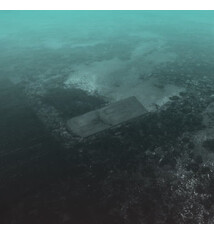 Local PS I Love You - For Those Who Stay (NEW CD)