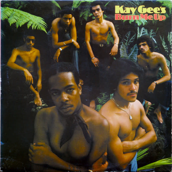 R&B/Soul/Funk Kay Gee's - Burn Me Up ('79 US) (VG+/VG+)
