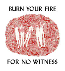 Rock/Pop Angel Olsen - Burn Your Fire For No Witness (VG/VG+)
