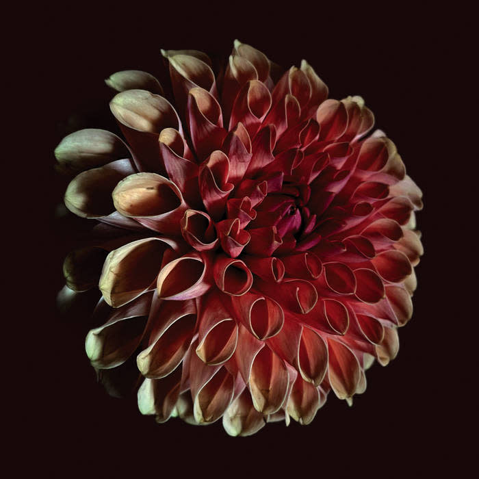 Rock/Pop Jessica Moss - Unfolding (Nov. 7, 2025)