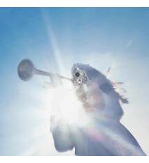 Rock/Pop Geese - Getting Killed (Clear Vinyl)