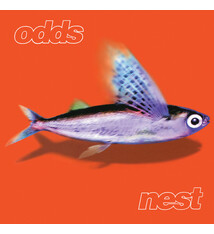 Rock/Pop Odds - Nest (Nov. 21, 2025)