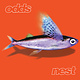 Rock/Pop Odds - Nest (Nov. 21, 2025)