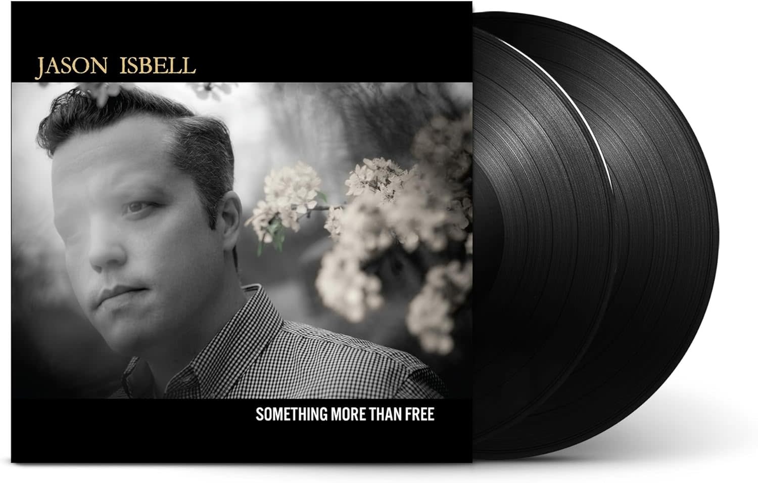 Rock/Pop Jason Isbell - Something More Than Free (2LP 10 Year Anniversary Edition)