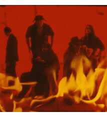 Punk/Hardcore Poison Idea - We Must Burn (Fireball Orange Vinyl)