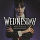 Soundtracks Wednesday Addams / Danny Elfman - Paint It Black / Wednesday Main Titles (2023 Purple Transparent 7") (VG++/VG++)