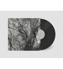 Rock/Pop Grouper - Way Their Crept