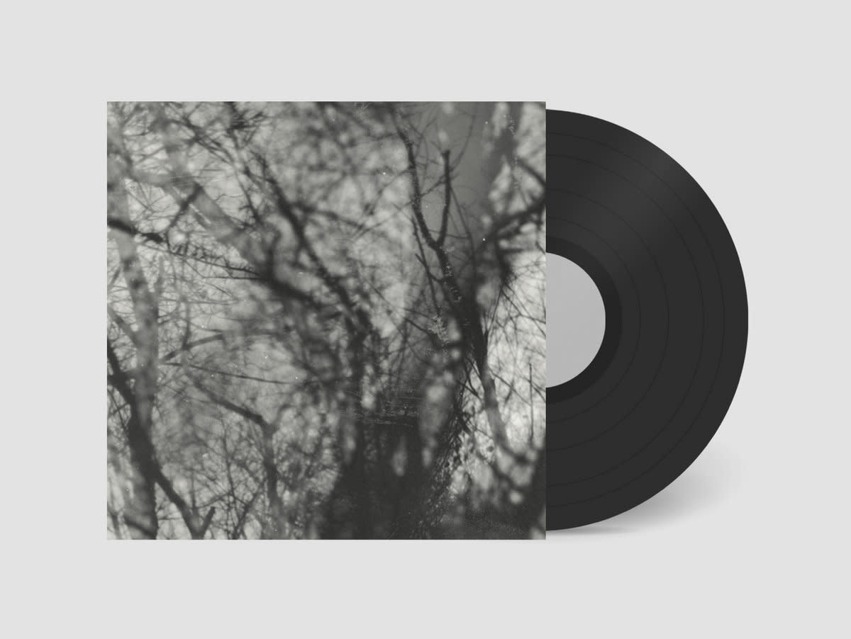 Rock/Pop Grouper - Way Their Crept